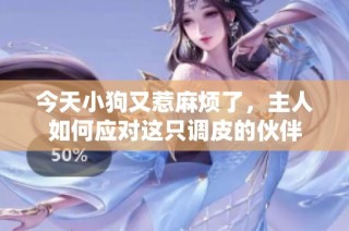 今天小狗又惹麻烦了，主人如何应对这只调皮的伙伴