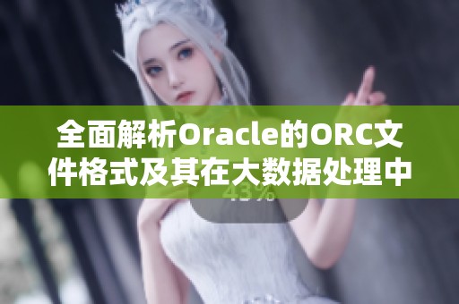 全面解析oracle的orc文件格式及其在大数据处理中的应用