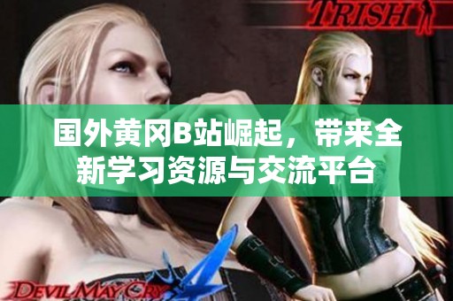 国外黄冈b站崛起,带来全新学习资源与交流平台