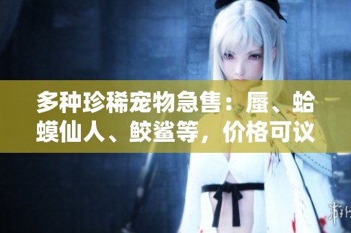 多种珍稀宠物急售:蜃、蛤蟆仙人、鲛鲨等,价格可议!