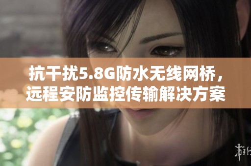 抗干扰5.8g防水无线网桥，远程安防监控传输域网棋牌的解决方案